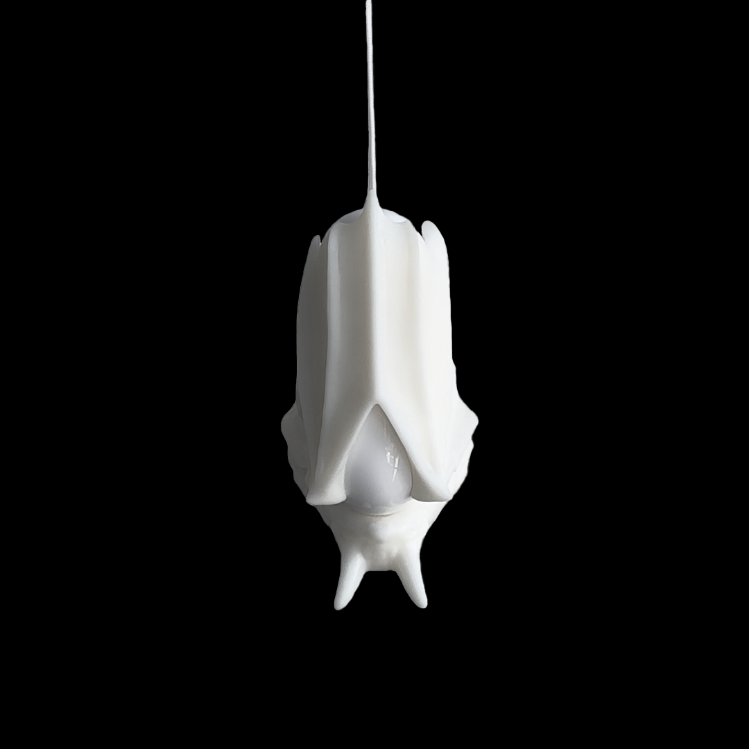 FAP2-02